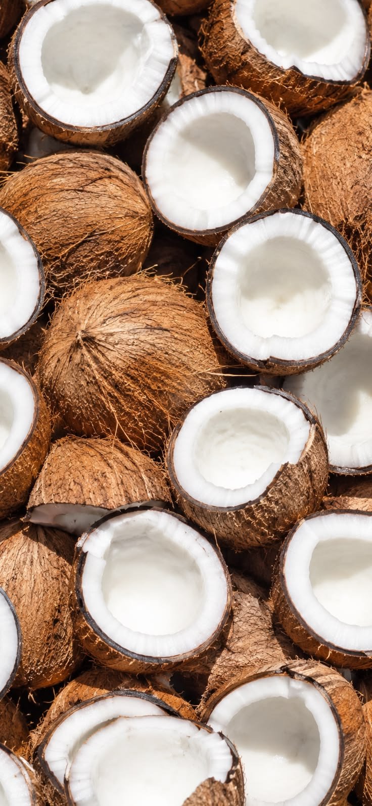 Fresh Coconut