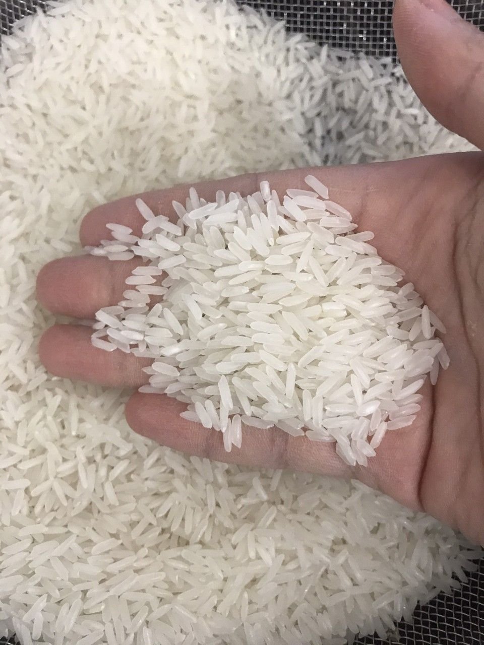 Non-Basmati Rice