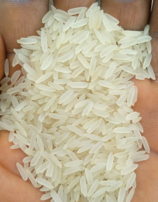 IR64 Parboiled Rice